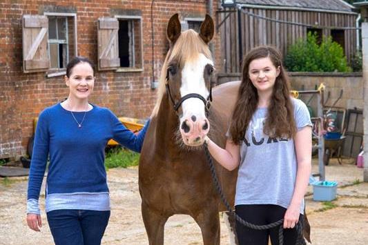 Hythe vets save horse's life with ballpoint pens