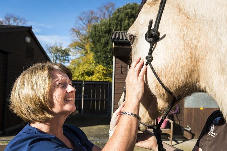 In summary, how to make the last decade of your horse’s life a happy one?