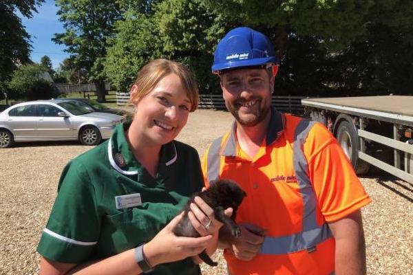 Monica the kitten dubbed a motorway miracle after surviving M27 ordeal