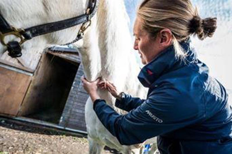 New Forest: Seadown launches health care plan for equines