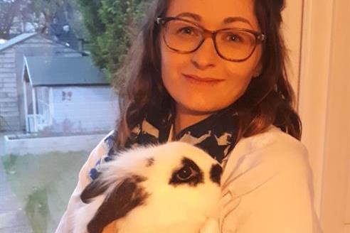 Rabbit vaccination alert