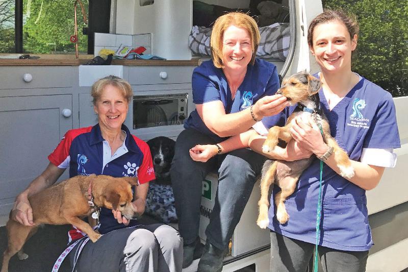 Rescued Dottie’s leap to stardom