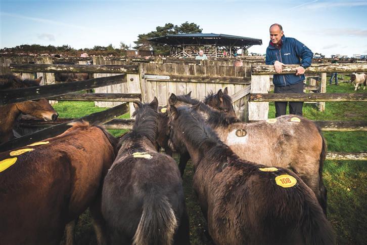 Seadown Vets celebrate 95 years