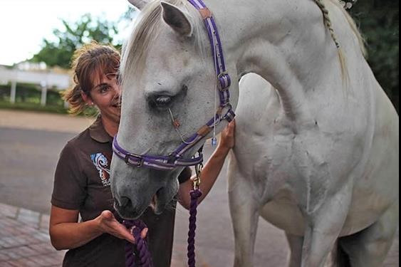 Tetua had an eye removed but has made a remarkable recovery, says owner Patrick Kempe