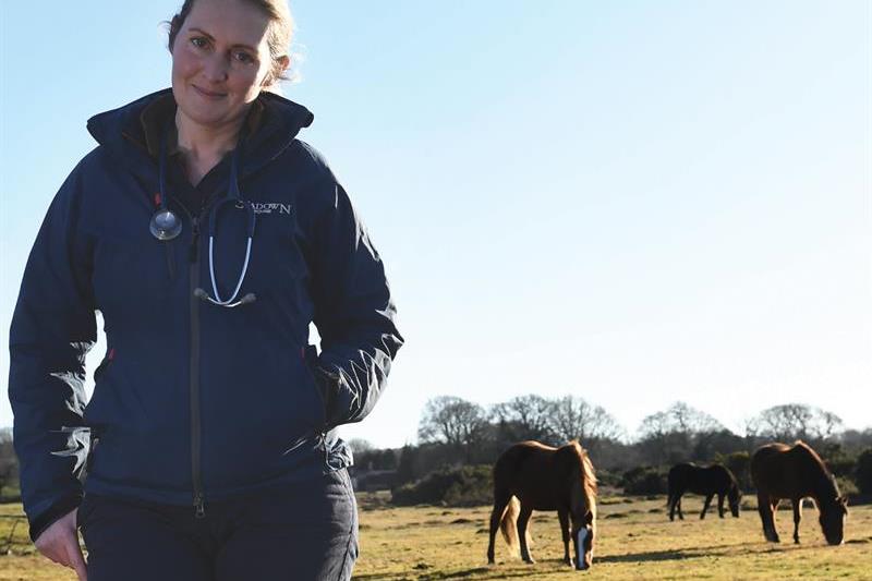 The New Forest Vet