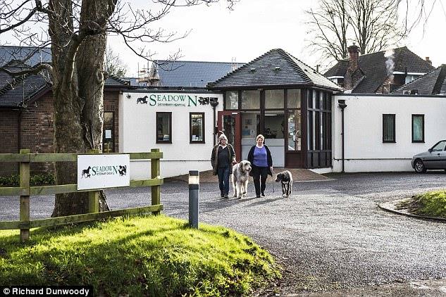 The REAL Animal Hospital! New Forest veterinary practice celebrates almost a century of caring for animals