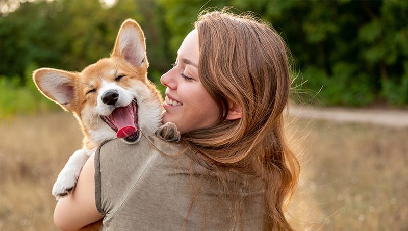 Healthy Pet Club for Puppies and Dogs