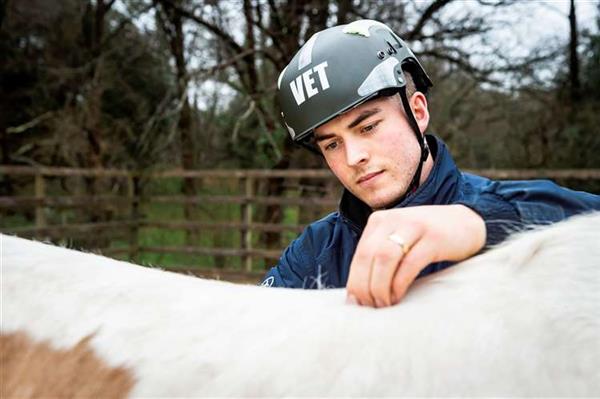 Equine vet Alex Tooley 