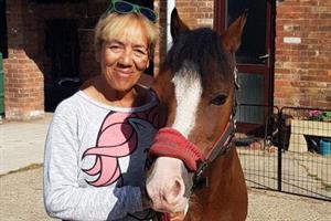 New Forest pony at risk of losing an eye