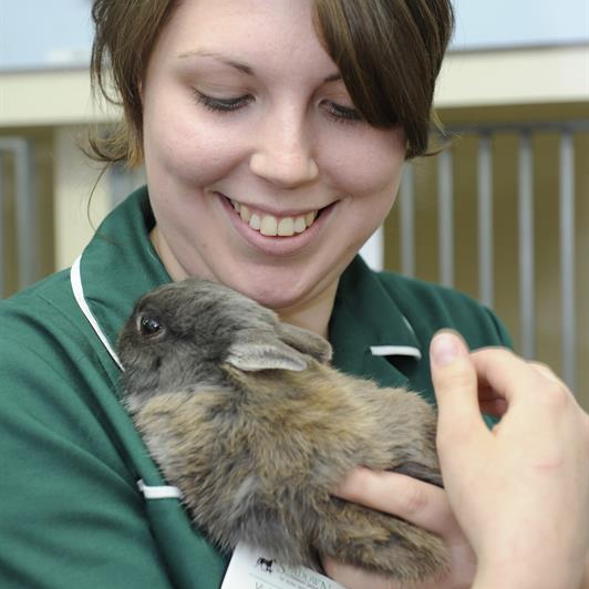 Lifetime Care Club for Rabbits