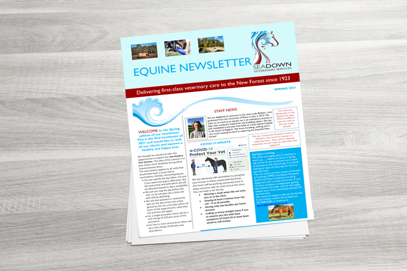 Equine Newsletter