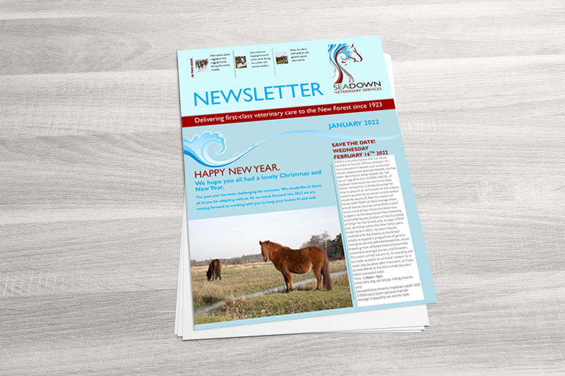 Equine Newsletter