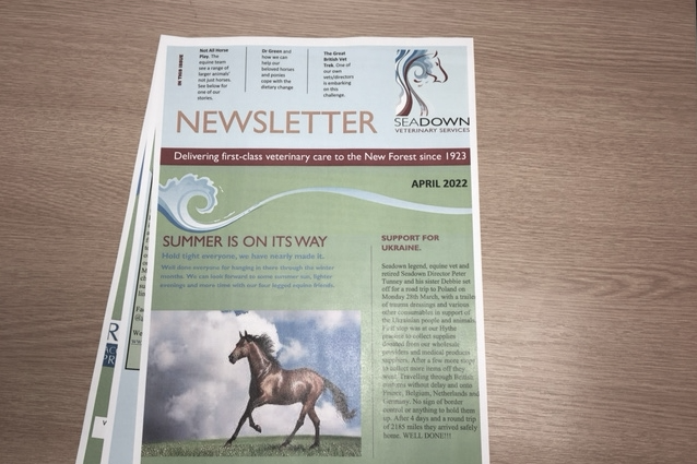 Equine Newsletter