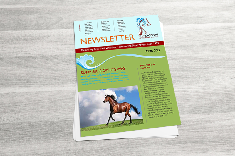 Equine Newsletter