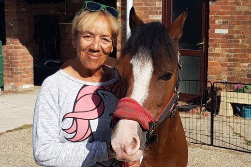 New Forest pony at risk of losing an eye saved in emergency surgery