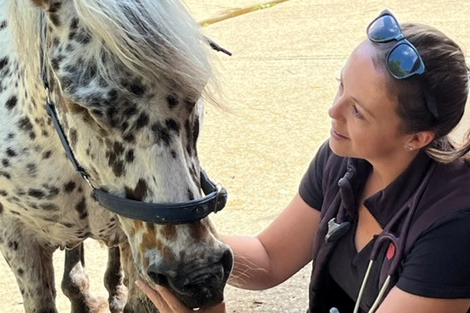 A Special Evening of Equine Talks