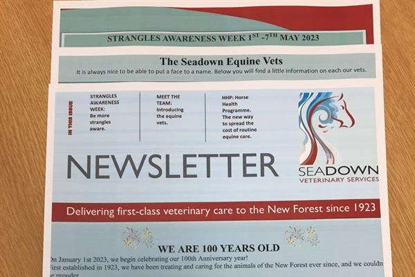 Seadown Equine Clinic Spring 2023 Newsletter