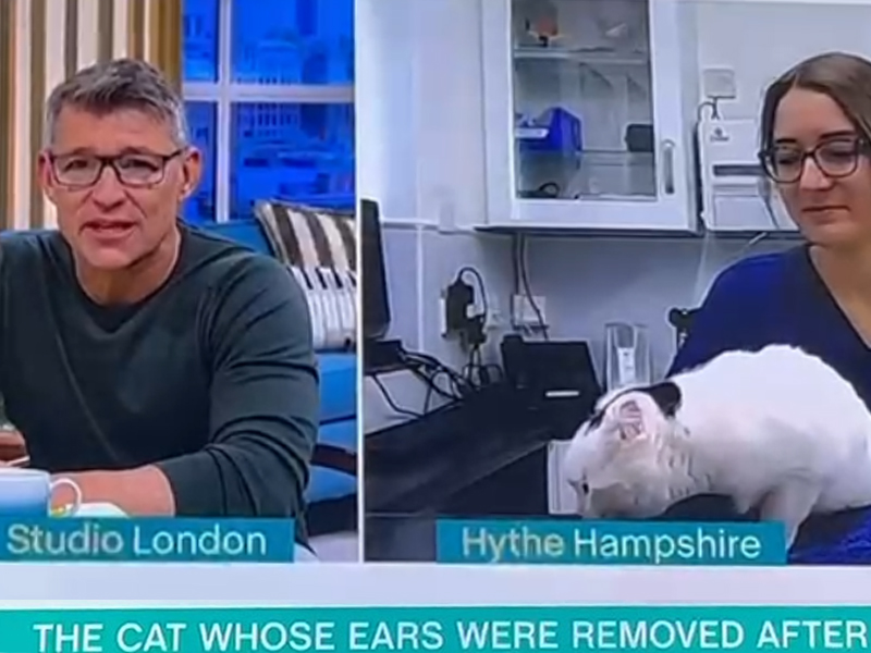 Bobble and Seadown feature on ITV 'This Morning'