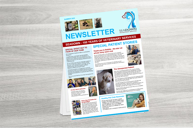 Seadown Small Animal Newsletter August 2025