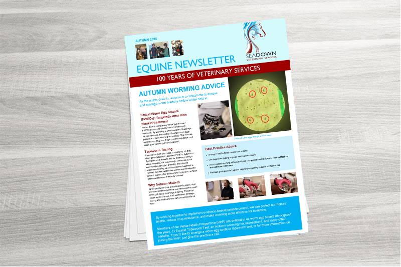 Seadown Equine Newsletter September 2025