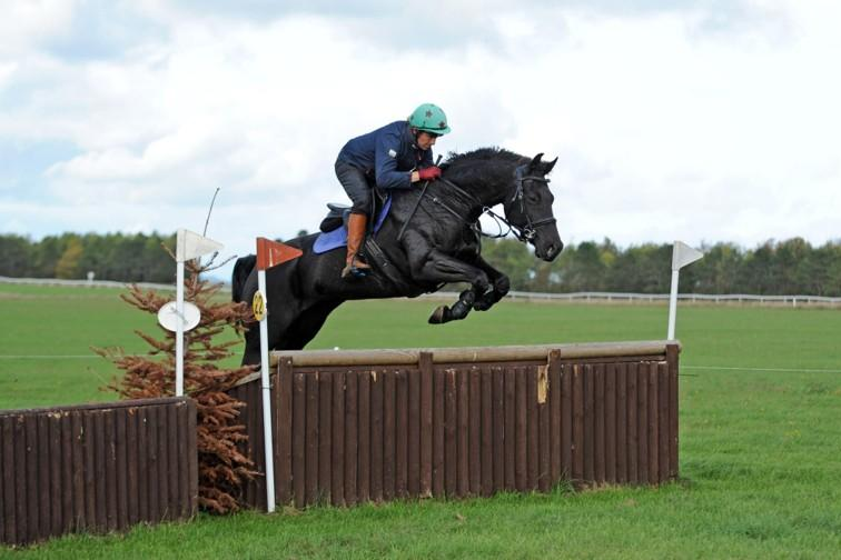 New Forest horse nursed back to health by Seadown vet